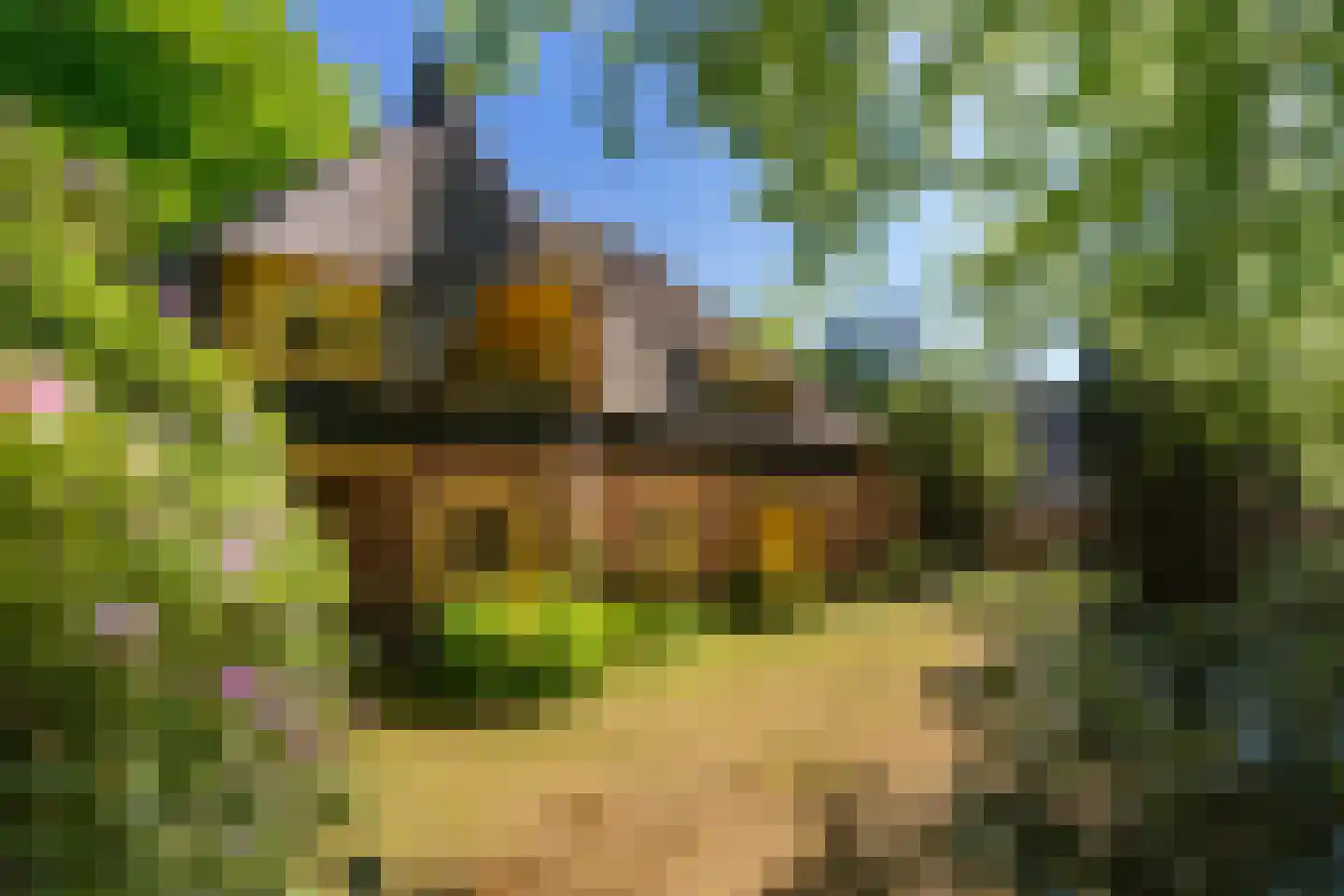 Studler van Surcklaan 17 Bergen (NH) thumbnail 9