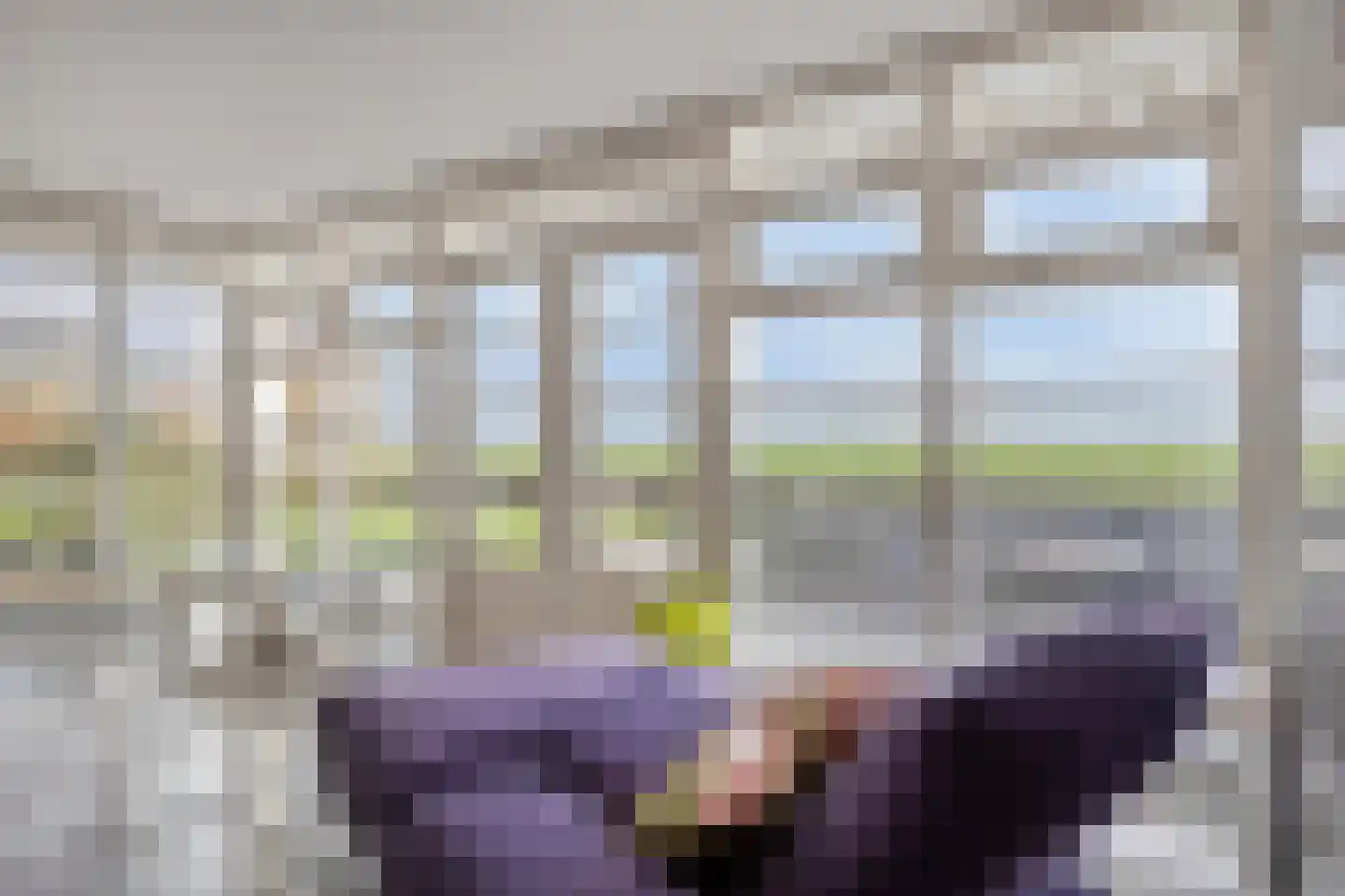 Stuifakker 2 Nieuw-Beijerland thumbnail 18
