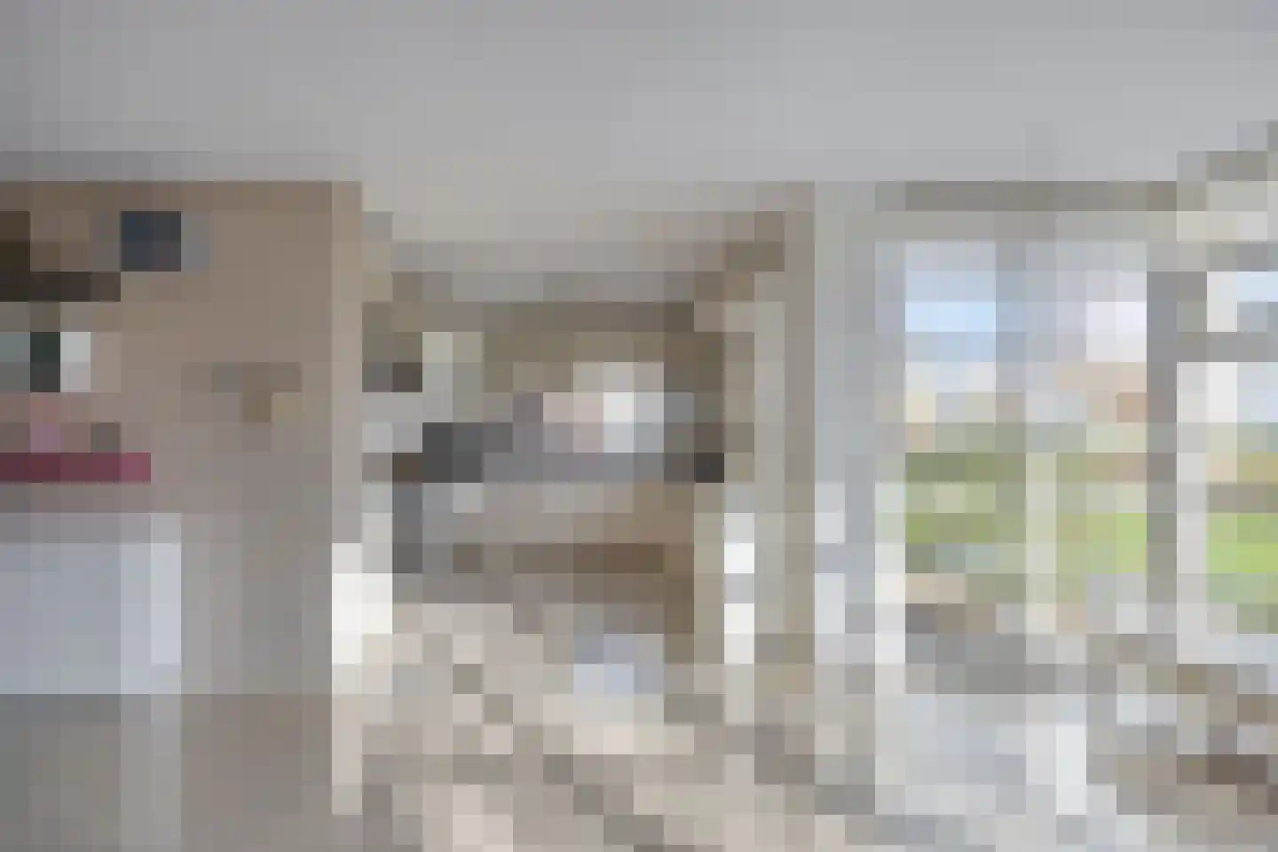 Stuifakker 2 Nieuw-Beijerland thumbnail 20