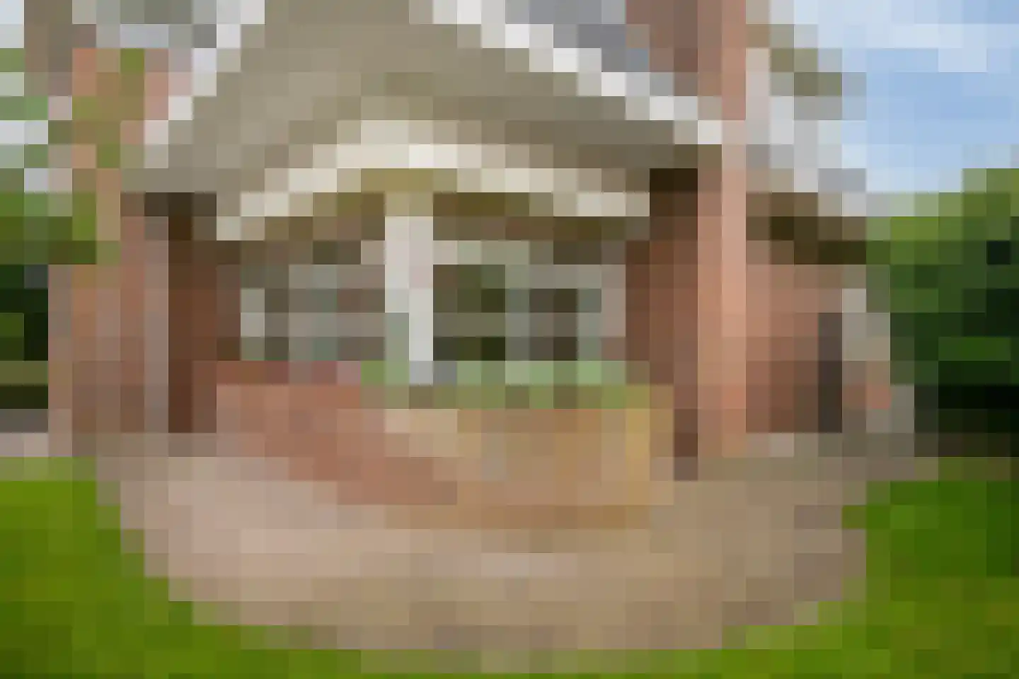 Stuifakker 2 Nieuw-Beijerland thumbnail 48