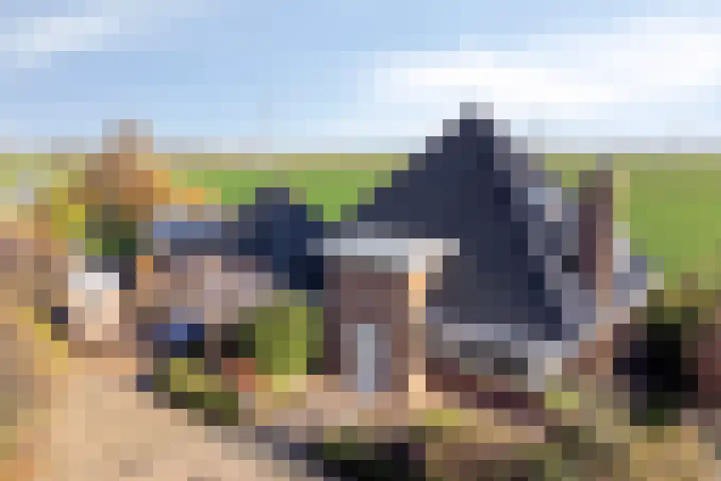 Stuifakker 2 Nieuw-Beijerland thumbnail 5