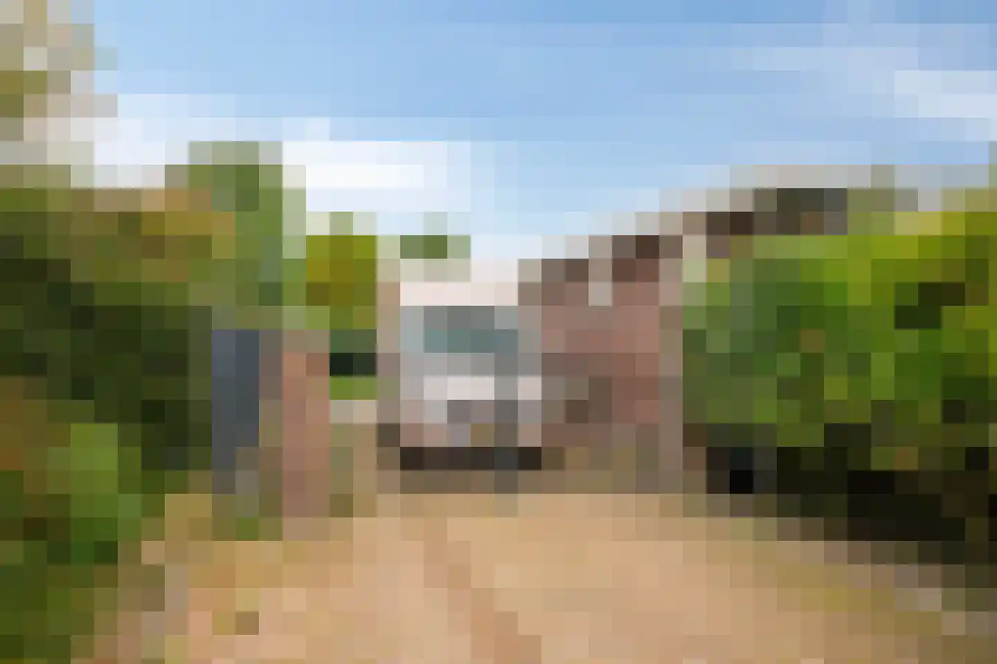 Stuifakker 2 Nieuw-Beijerland thumbnail 50
