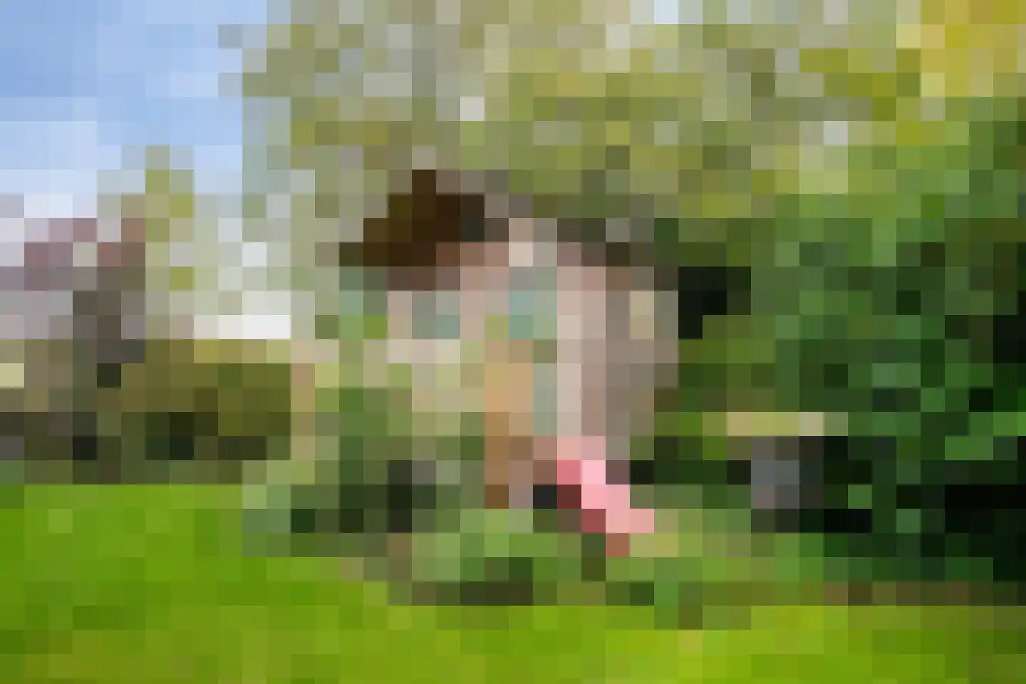 Stuifakker 2 Nieuw-Beijerland thumbnail 53