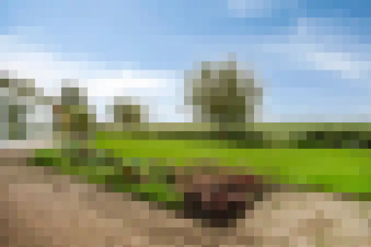 Stuifakker 2 Nieuw-Beijerland thumbnail 56
