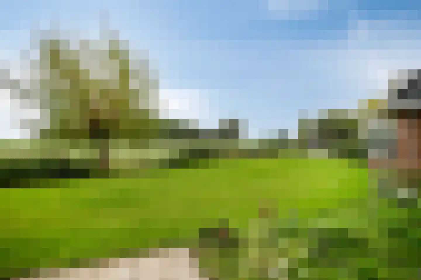 Stuifakker 2 Nieuw-Beijerland thumbnail 57