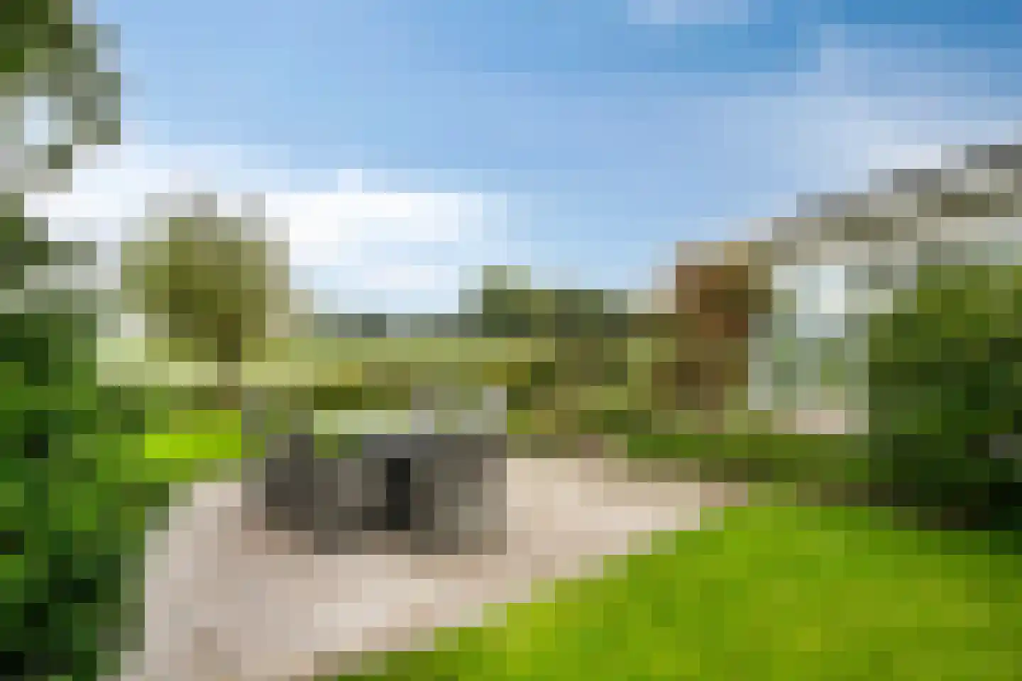 Stuifakker 2 Nieuw-Beijerland thumbnail 59