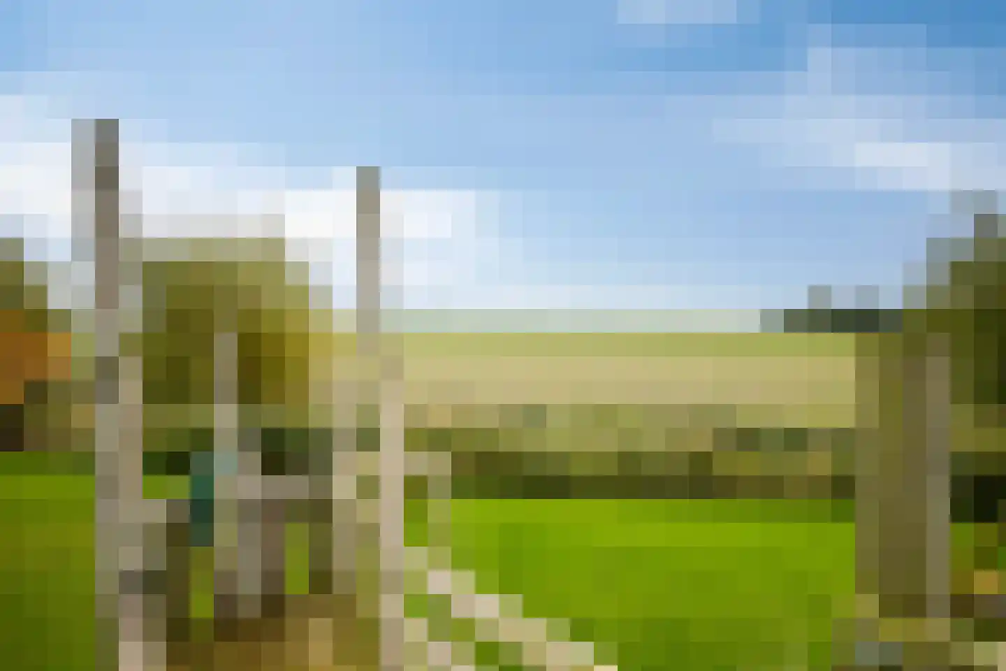 Stuifakker 2 Nieuw-Beijerland thumbnail 62