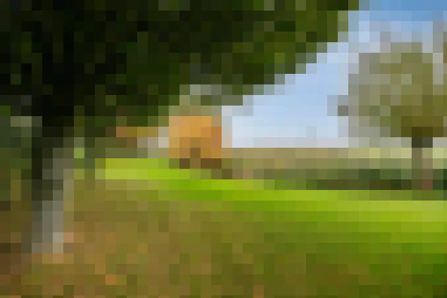 Stuifakker 2 Nieuw-Beijerland thumbnail 63