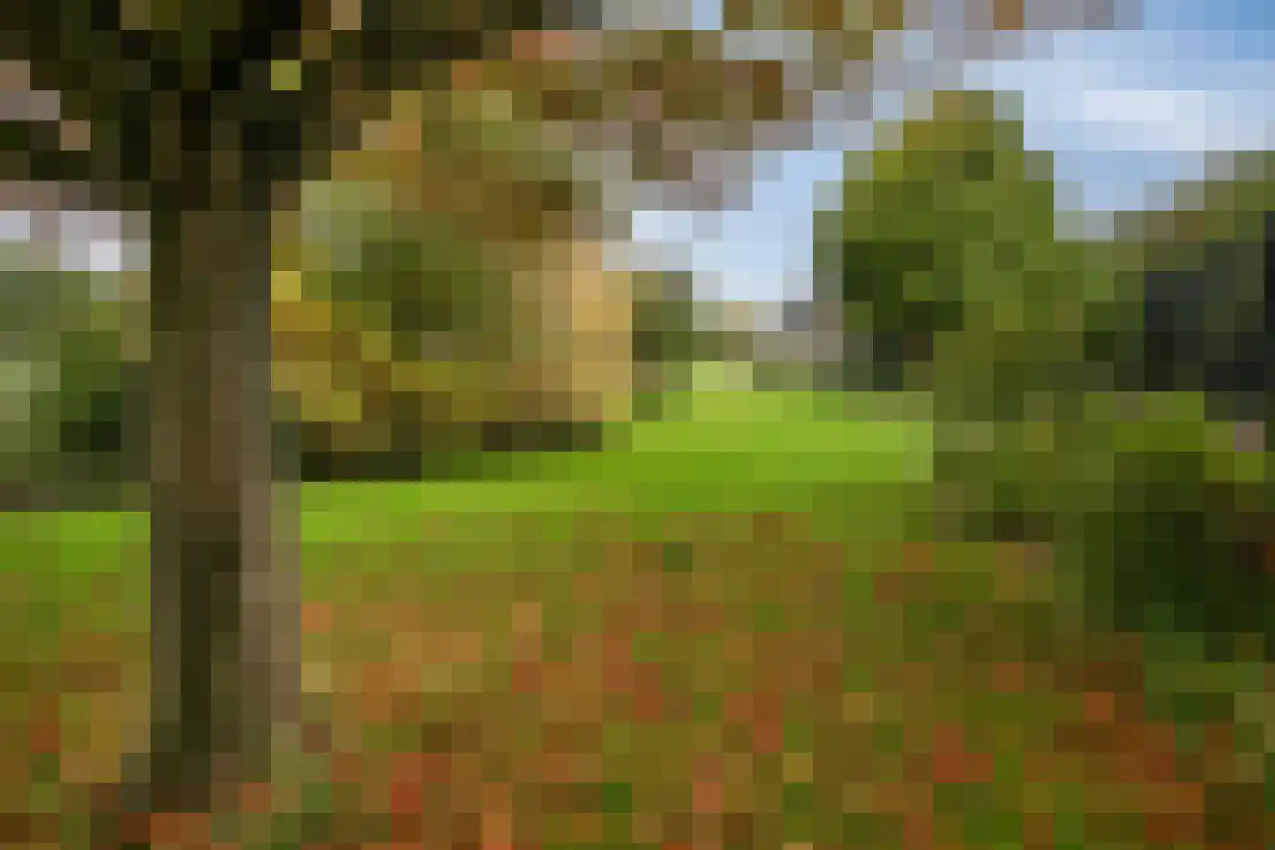 Stuifakker 2 Nieuw-Beijerland thumbnail 64