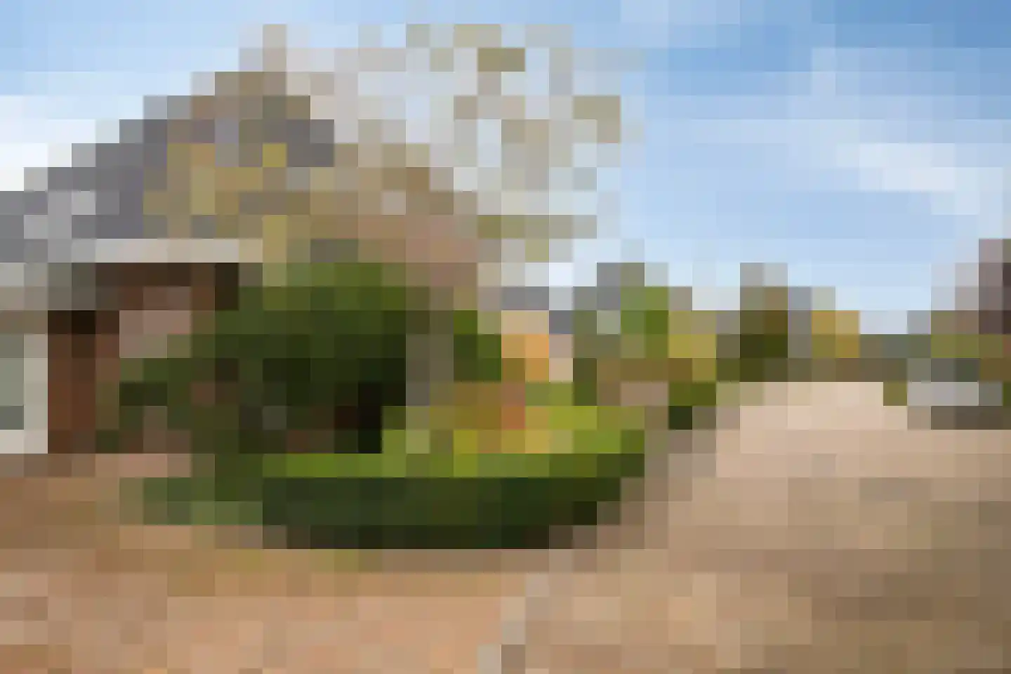 Stuifakker 2 Nieuw-Beijerland thumbnail 65