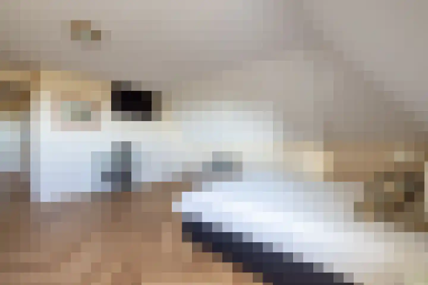 Stuifakker 8 Nieuw-Beijerland thumbnail 31