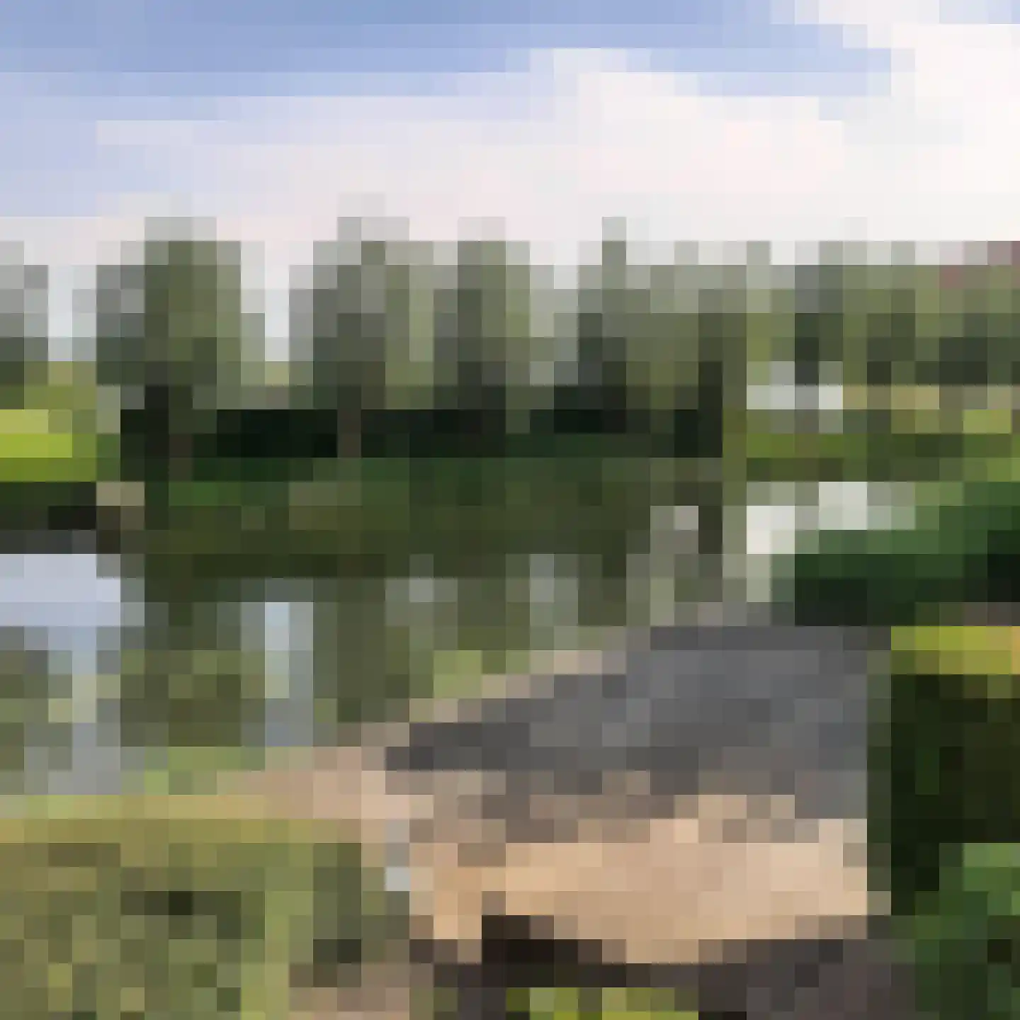 Stuifakker 8 Nieuw-Beijerland thumbnail 42