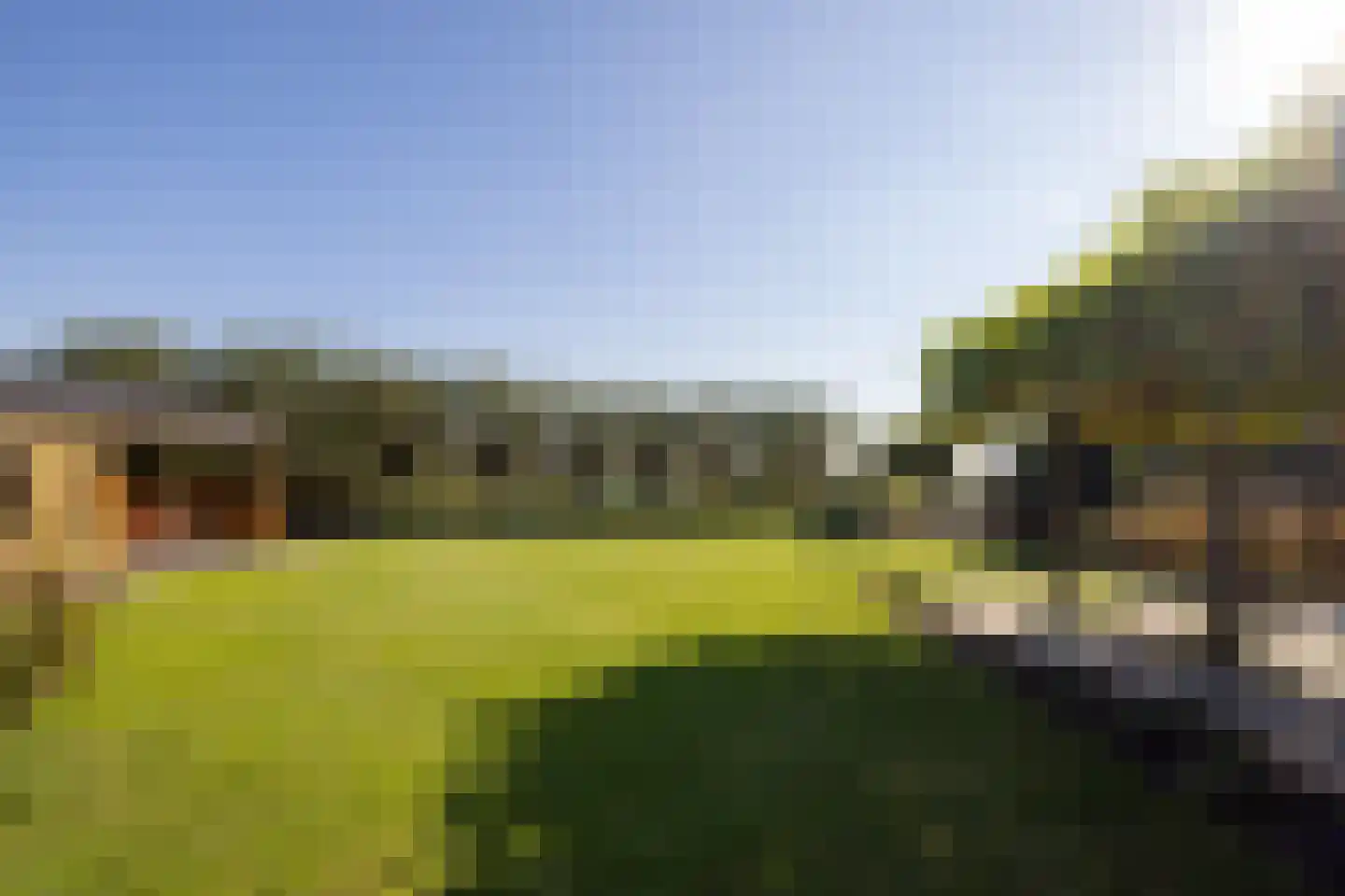 Stuifakker 8 Nieuw-Beijerland thumbnail 49