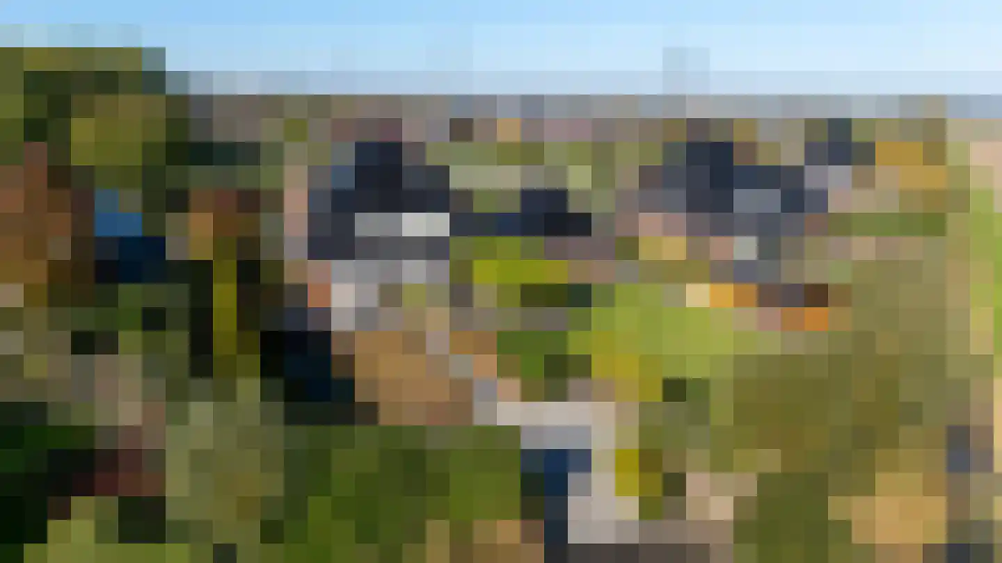 Stuifakker 8 Nieuw-Beijerland thumbnail 6