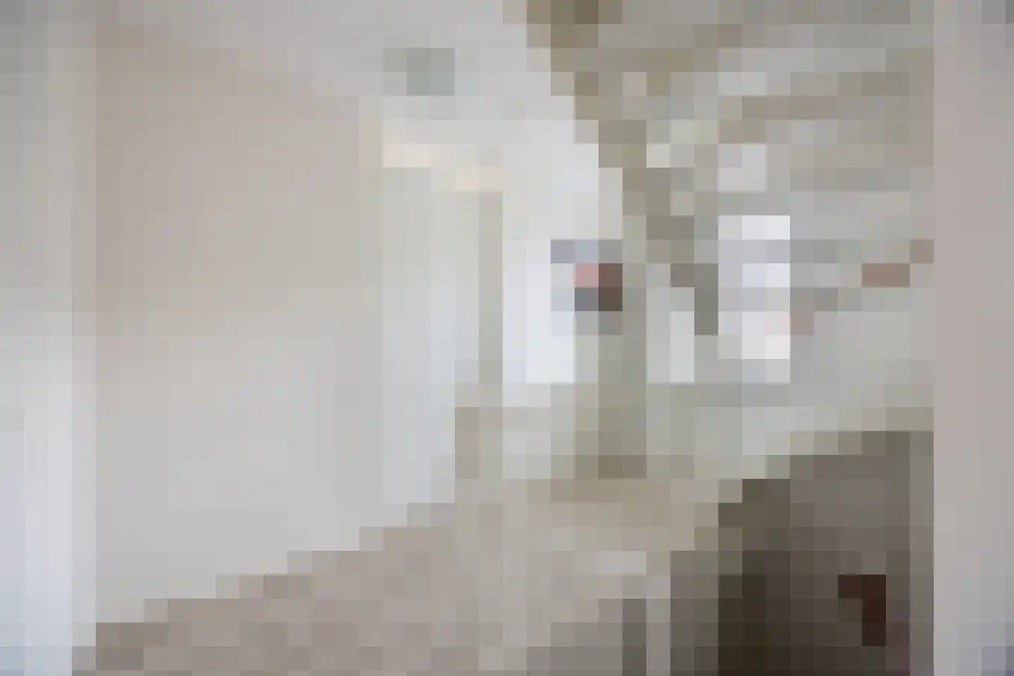 Stuifduin 10 Oosterhout thumbnail 20