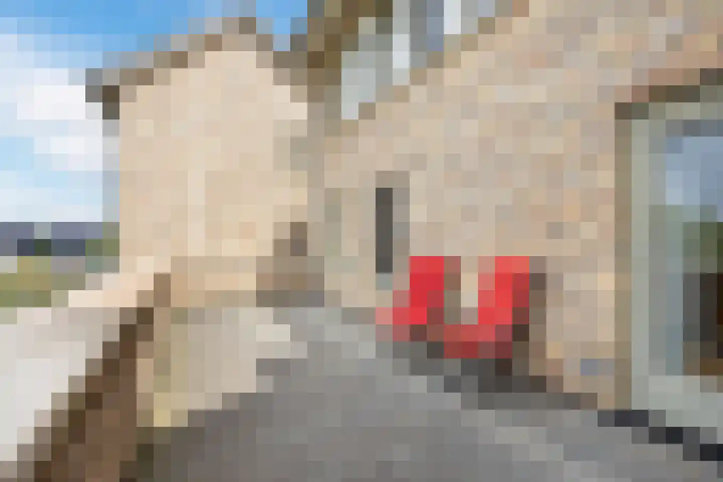 Stuifduin 10 Oosterhout thumbnail 29