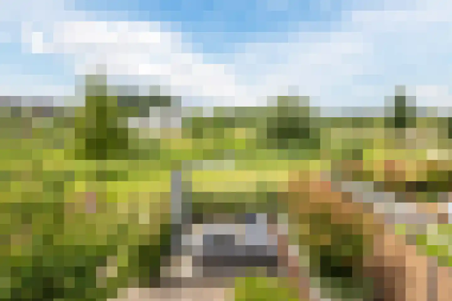 Stuifduin 10 Oosterhout thumbnail 32