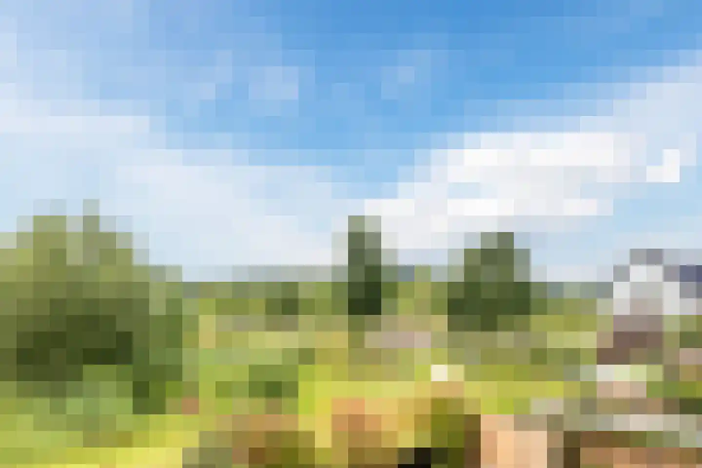 Stuifduin 10 Oosterhout thumbnail 44
