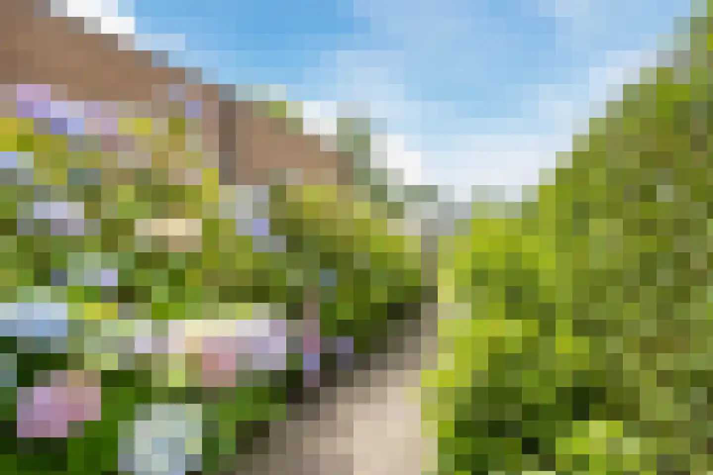 Stuifduin 10 Oosterhout thumbnail 49