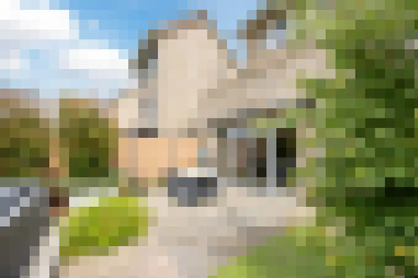 Stuifduin 10 Oosterhout thumbnail 50