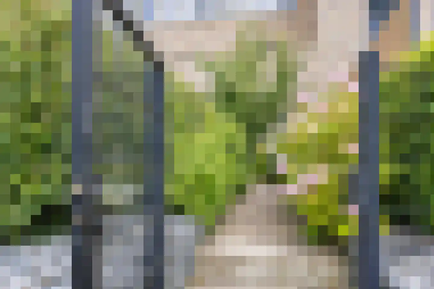 Stuifduin 10 Oosterhout thumbnail 51