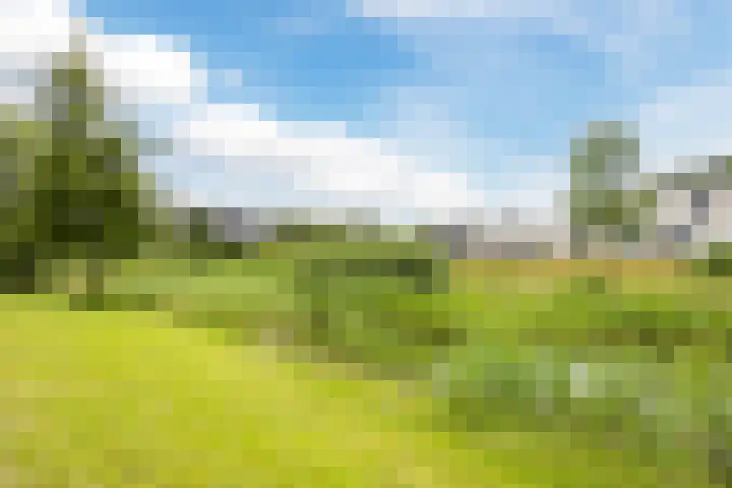 Stuifduin 10 Oosterhout thumbnail 57