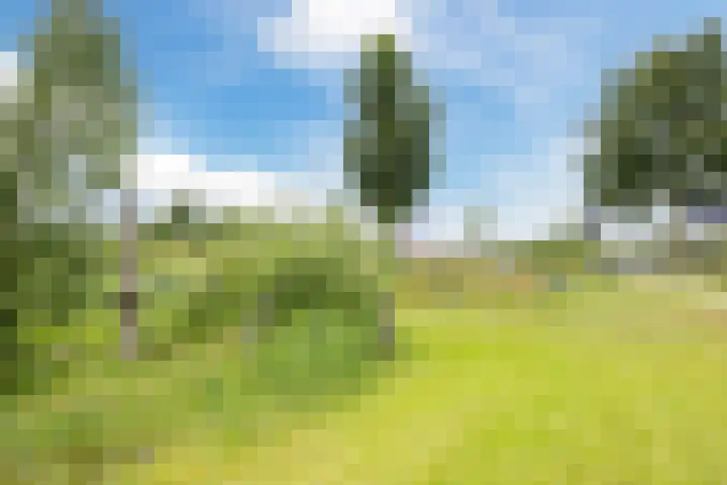 Stuifduin 10 Oosterhout thumbnail 58