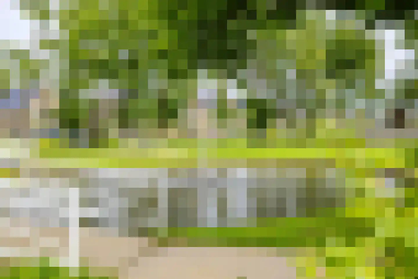 Stuifduin 108 Noordwijkerhout thumbnail 24