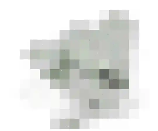 Stuifduin 108 Noordwijkerhout thumbnail 25