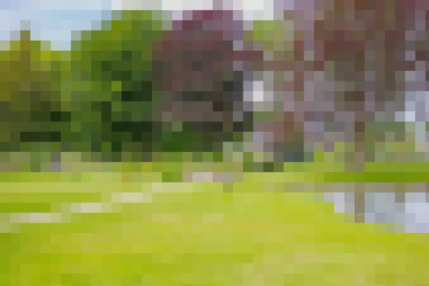 Stuifduin 108 Noordwijkerhout thumbnail 27