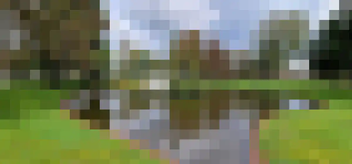 Stuifduin 108 Noordwijkerhout thumbnail 28