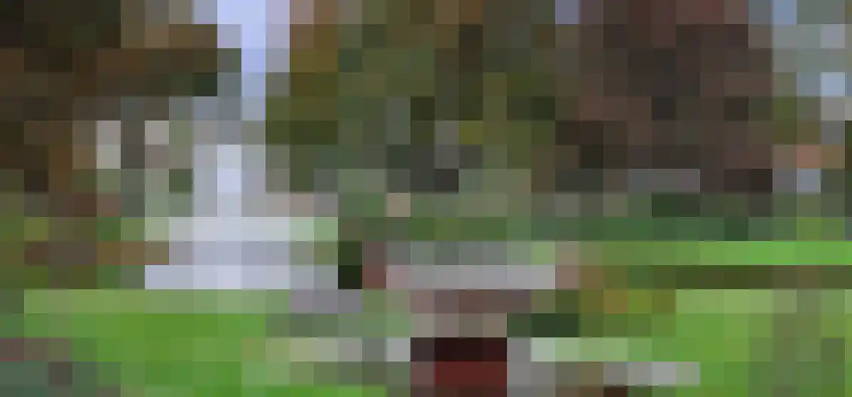 Stuifduin 108 Noordwijkerhout thumbnail 29