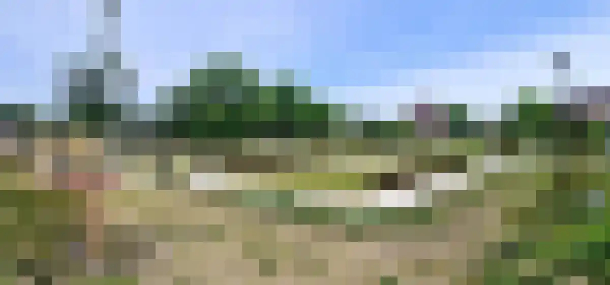 Stuifduin 108 Noordwijkerhout thumbnail 31
