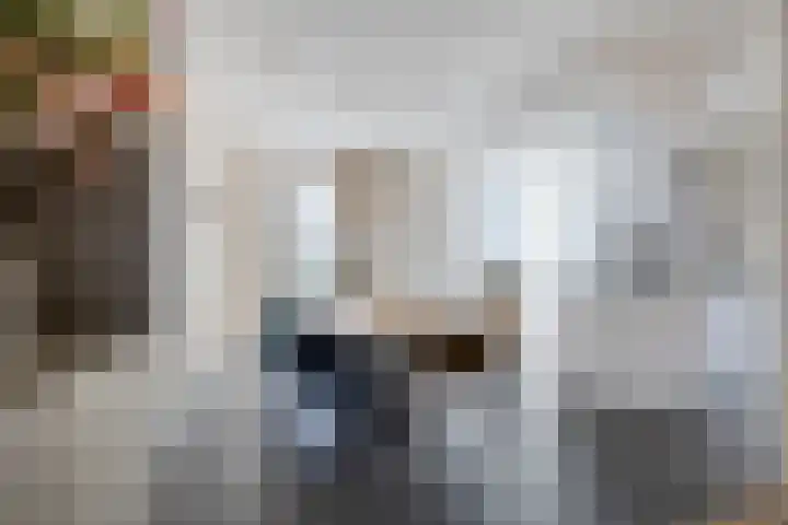Stuifduin 13 Oosterhout thumbnail 11