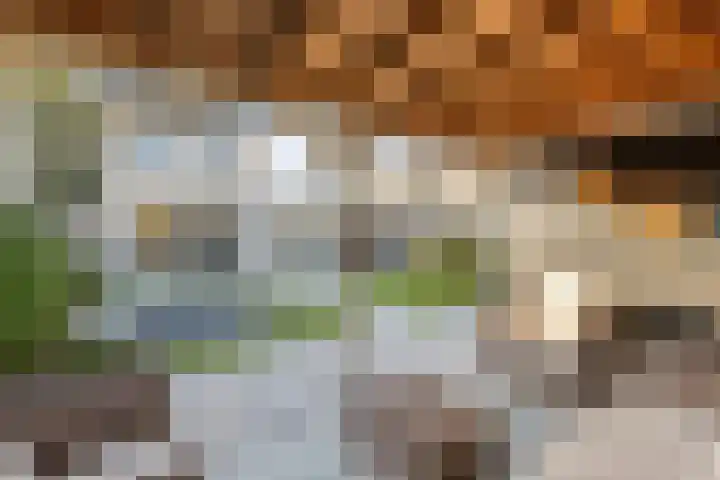 Stuifduin 13 Oosterhout thumbnail 33