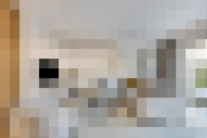 Stuifduin 13 Oosterhout thumbnail 4