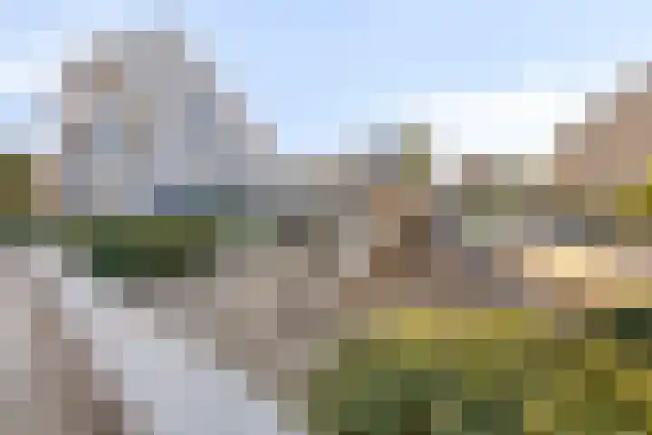 Stuifduin 13 Oosterhout thumbnail 40