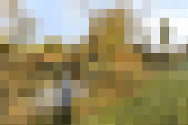 Stuifduin 13 Oosterhout thumbnail 41