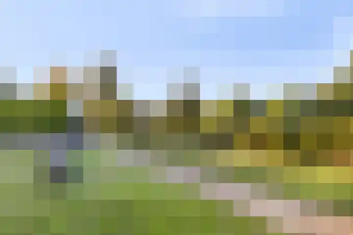 Stuifduin 13 Oosterhout thumbnail 42