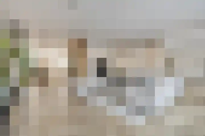 Stuifduin 13 Oosterhout thumbnail 5