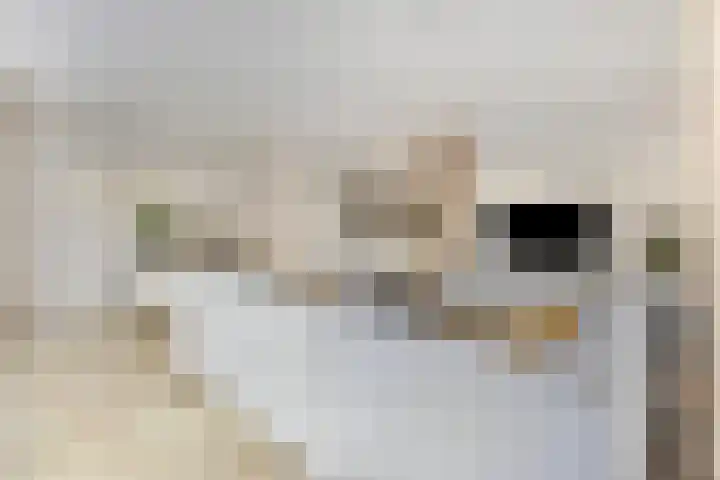 Stuifduin 13 Oosterhout thumbnail 8