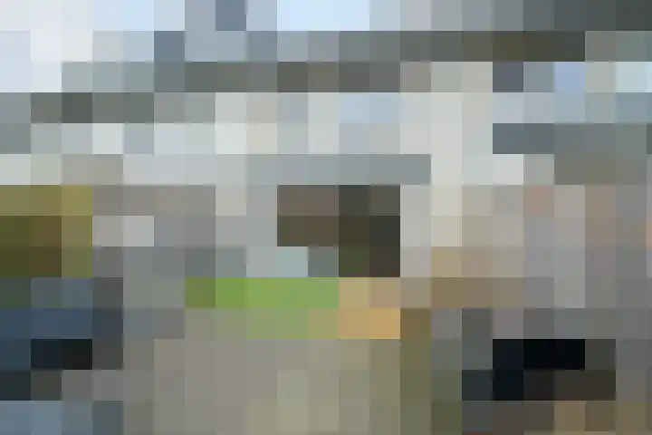 Stuifduin 70 Oosterhout thumbnail 23
