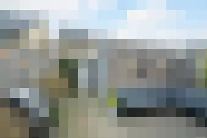Stuifduin 70 Oosterhout thumbnail 24