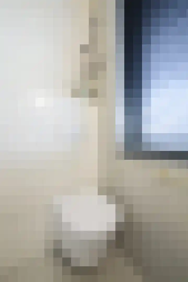 Stuifduin 70 Oosterhout thumbnail 47