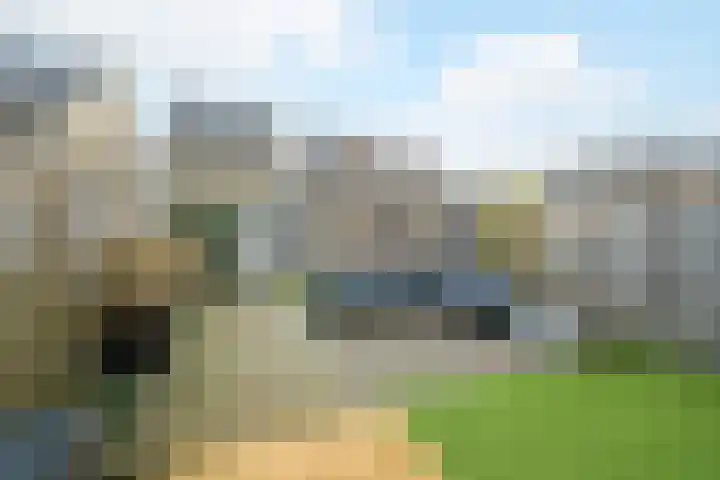 Stuifduin 70 Oosterhout thumbnail 5