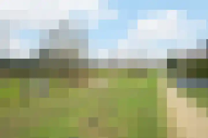 Stuifduin 70 Oosterhout thumbnail 53