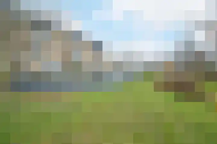 Stuifduin 70 Oosterhout thumbnail 54