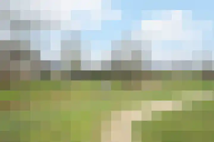 Stuifduin 70 Oosterhout thumbnail 55