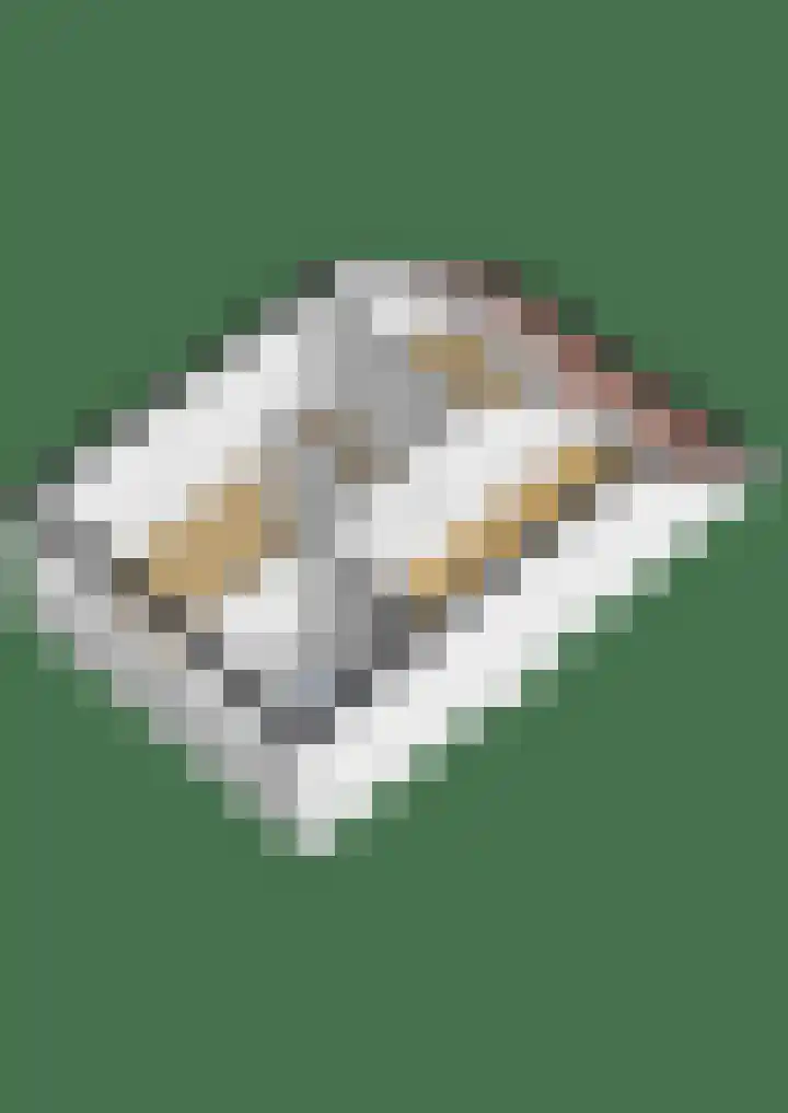 Stuifduin 70 Oosterhout thumbnail 63