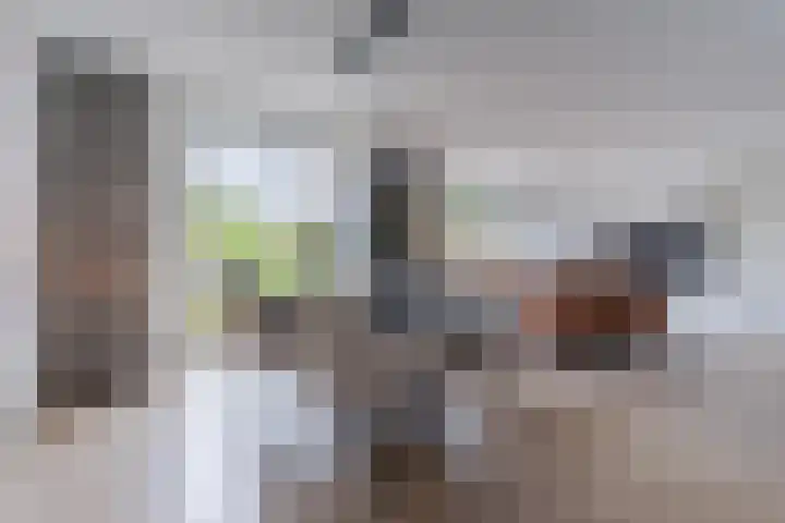 Stuifduin 8 Oosterhout thumbnail 10